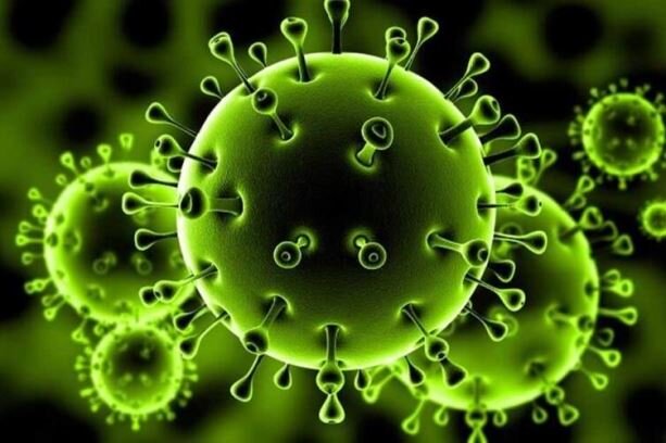آخرین یافته‌ها از جهش ویروس کرونا در ایران/ ارتباط تکثیر ویروس با تجمعات انسانی