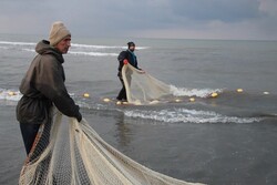 کاهش ۴۲ درصدی صید ماهیان استخوانی از دریای خزر/ ۴۷۰ تن صید شد