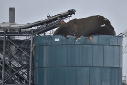 Bristol explosion leaves multiple causalities