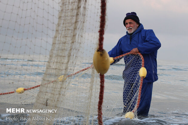 Cast-net fishing in Gilan prov.
