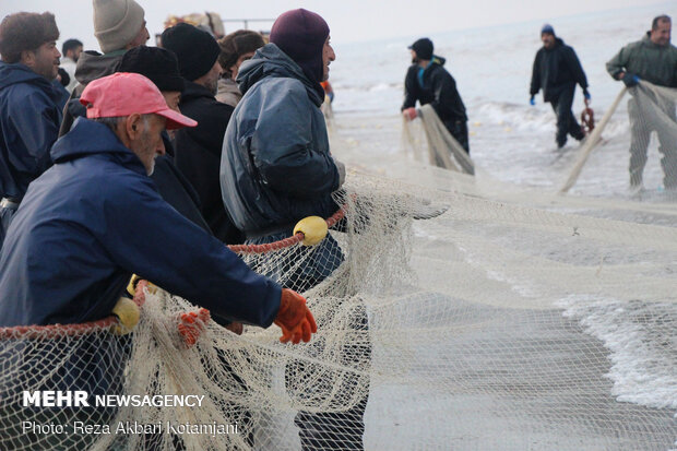 Cast-net fishing in Gilan prov.
