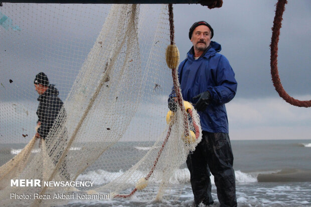 Cast-net fishing in Gilan prov.
