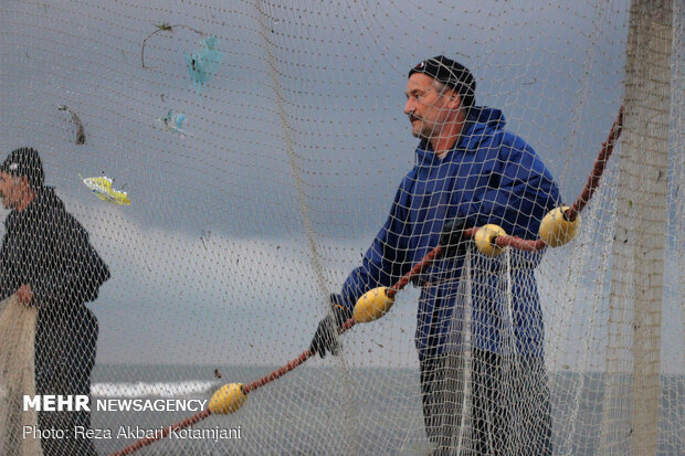 Cast-net fishing in Gilan prov.
