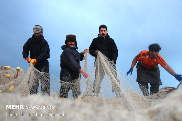 Cast-net fishing in Gilan prov.
