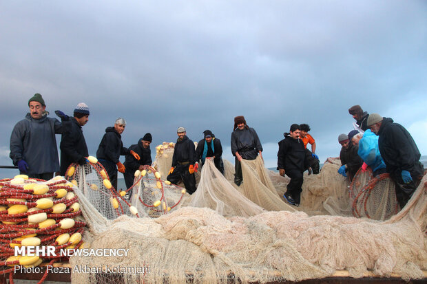 Cast-net fishing in Gilan prov.
