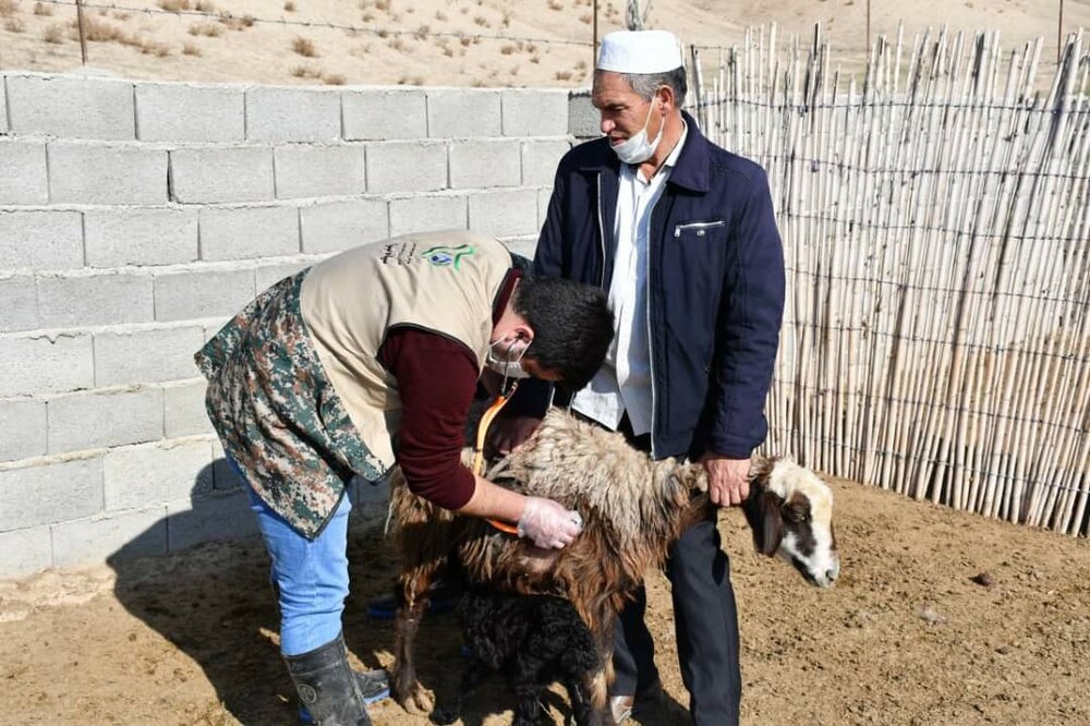 اعزام کلینیک دامپزشکی به مناطق روستایی گلستان