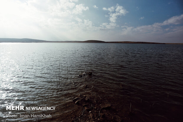 Abşine Barajı göçmen kuşlara ev sahipliği yapıyor