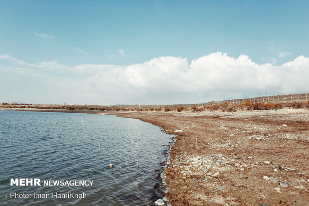 Abşine Barajı göçmen kuşlara ev sahipliği yapıyor