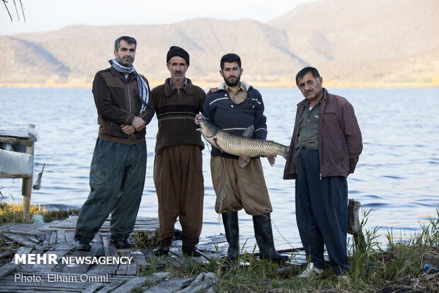 Zarivar Freshwater Wetland in Kurdistan province