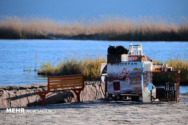 Zarivar Freshwater Wetland in Kurdistan province