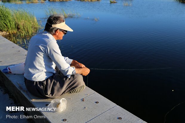 Zarivar Freshwater Wetland in Kurdistan province