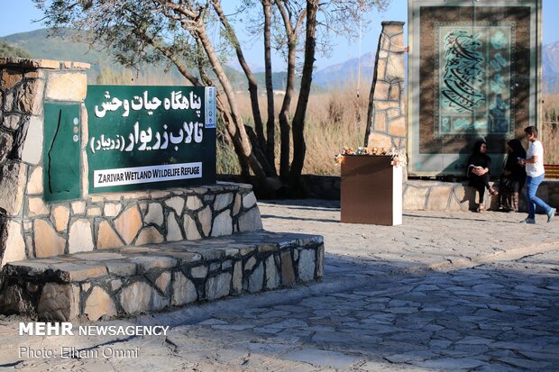 Zarivar Freshwater Wetland in Kurdistan province