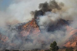گسترش دامنه آتش سوزی در جنوب کالیفرنیا/ منازل مسکونی تخلیه شدند