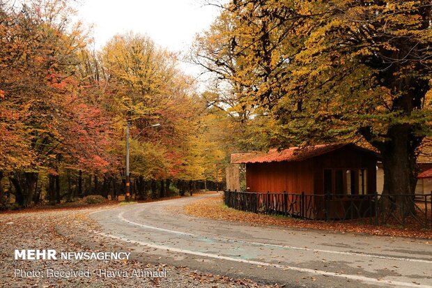 Beautiful sceneries of late autumn in Alangdareh Forest Park

