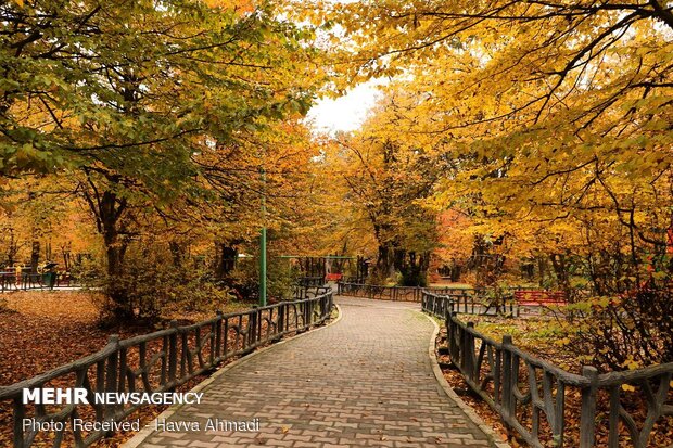 Beautiful sceneries of late autumn in Alangdareh Forest Park
