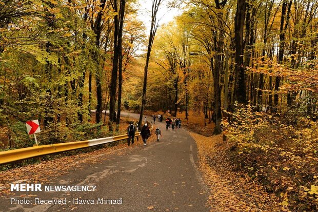 Beautiful sceneries of late autumn in Alangdareh Forest Park
