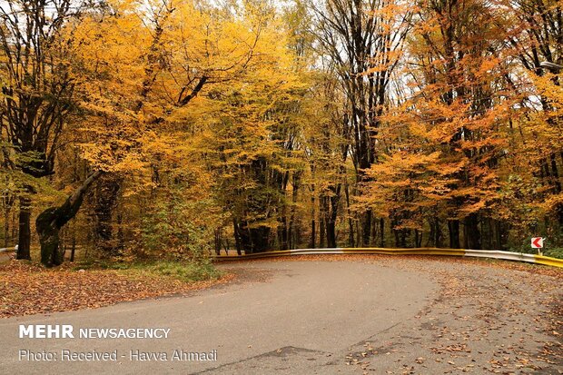 Beautiful sceneries of late autumn in Alangdareh Forest Park
