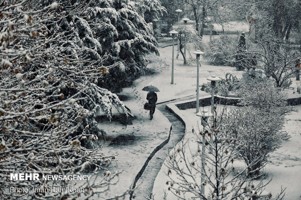 Autumn snow falls in Hamedan