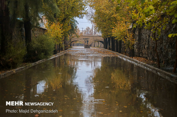 بارش باران رحمت الهی در یزد