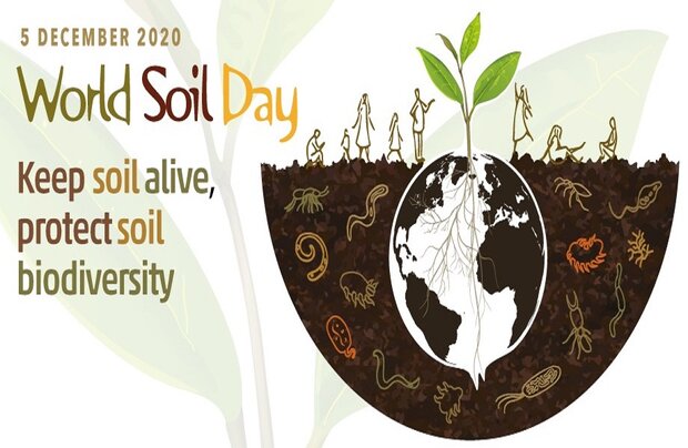 FAO ready to back Iran to ensure healthy biodiverse soils