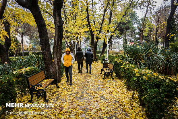 Autumn beauties in Qom
