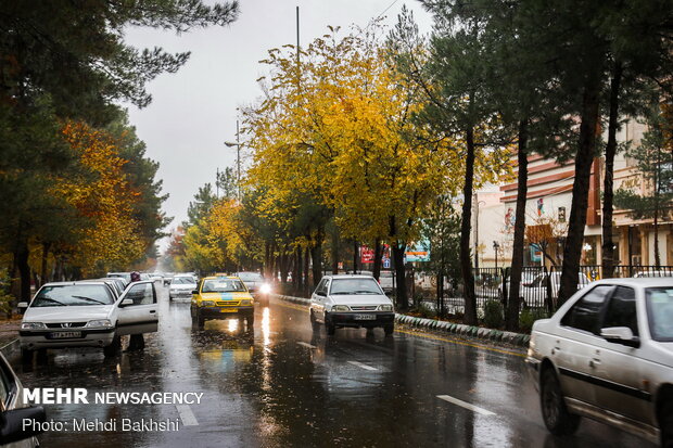 Autumn beauties in Qom
