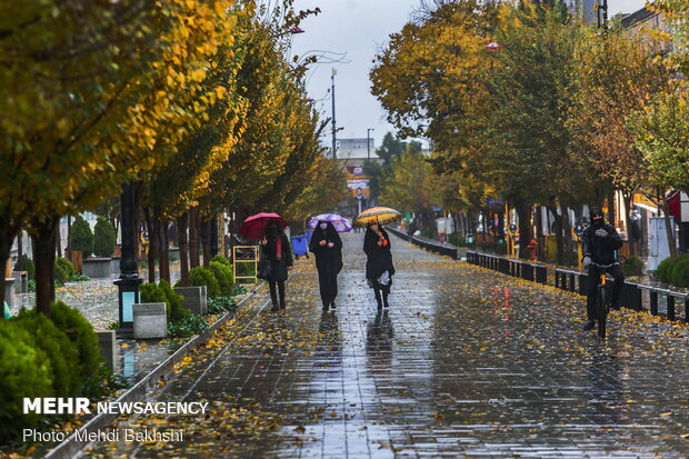 Autumn beauties in Qom
