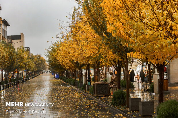 Autumn beauties in Qom
