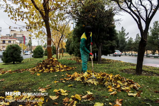 Autumn beauties in Qom
