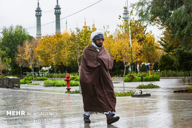 Autumn beauties in Qom
