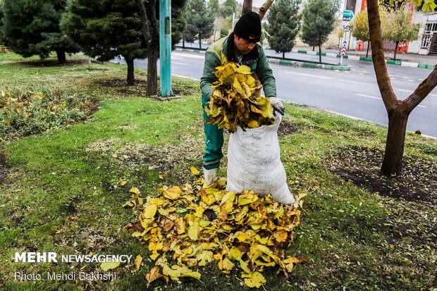 Autumn beauties in Qom
