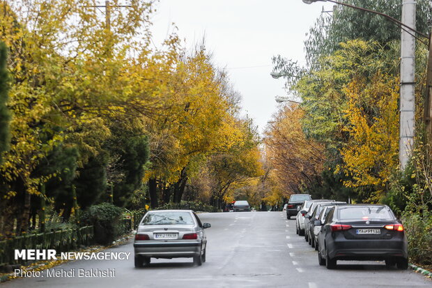 Autumn beauties in Qom
