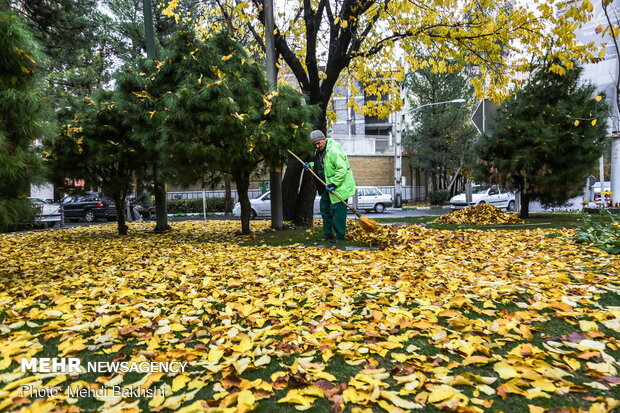 Autumn beauties in Qom
