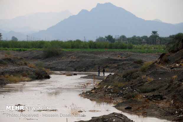 سیلابی شدن رودخانه های فصلی در هشت بندی - هرمزگان