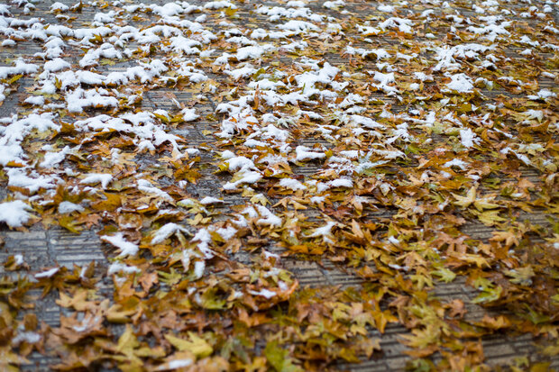 Autumn snow whitens Qazvin
