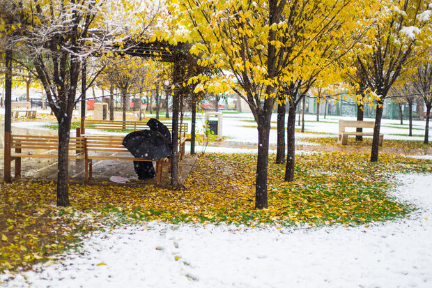 Autumn snow whitens Qazvin
