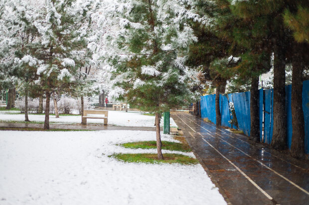 Autumn snow whitens Qazvin
