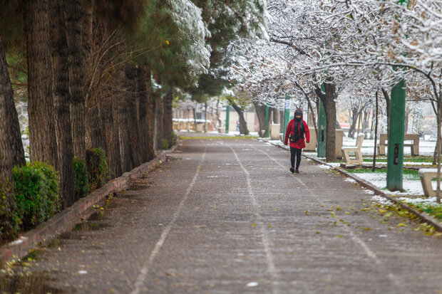 Autumn snow whitens Qazvin
