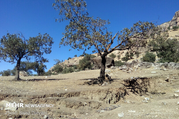 فرونشست زمین در کوهدشت - لرستان