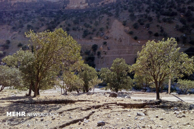 فرونشست زمین در کوهدشت - لرستان