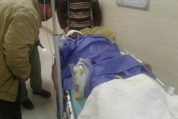 حمله یک قلاده پلنگ به چوپان ۵۲ صومعه سرایی در فومن حمله یک قلاده پلنگ به چوپان ۵۲ صومعه سرایی در فومن