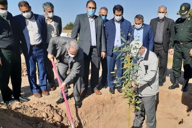 آغاز طرح نهال کاری در اراضی دهلران آغاز طرح نهال کاری در اراضی دهلران