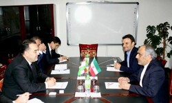 Iran, Tajikistan discuss implementation of joint decisions