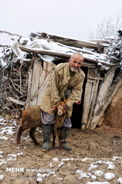 اولین برف چشمگیر زمستانه در آذر ماه ۱۳۹۹ در ورسک خودنمایی کرد‌.