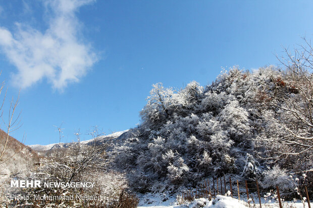Autumn snow whitens Ziarat village in North Iran