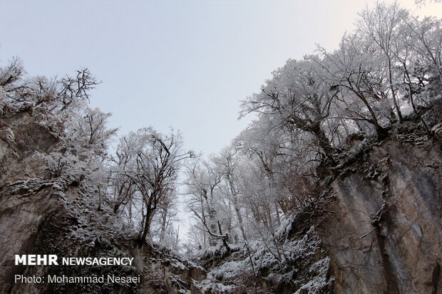 Autumn snow whitens Ziarat village in North Iran