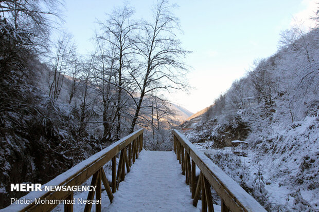 Autumn snow whitens Ziarat village in North Iran