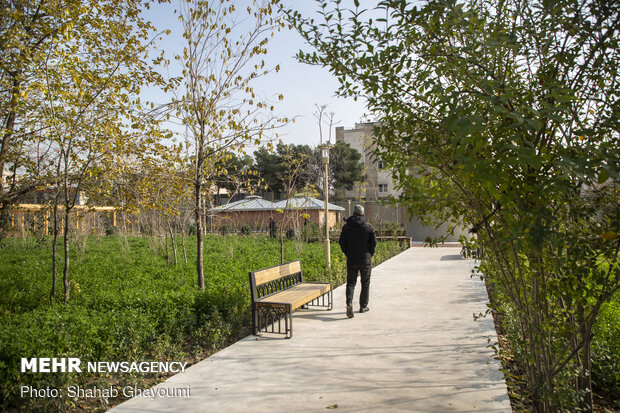 Vosough Al-Dowleh Garden of Tehran