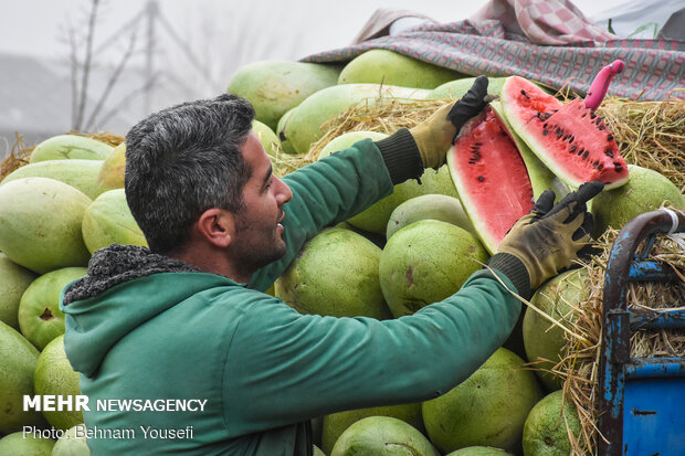 بازار گران و کم رونق میوه شب یلدا