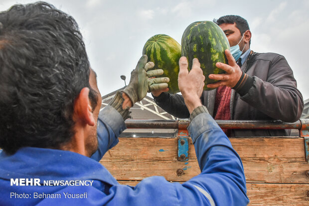 بازار گران و کم رونق میوه شب یلدا